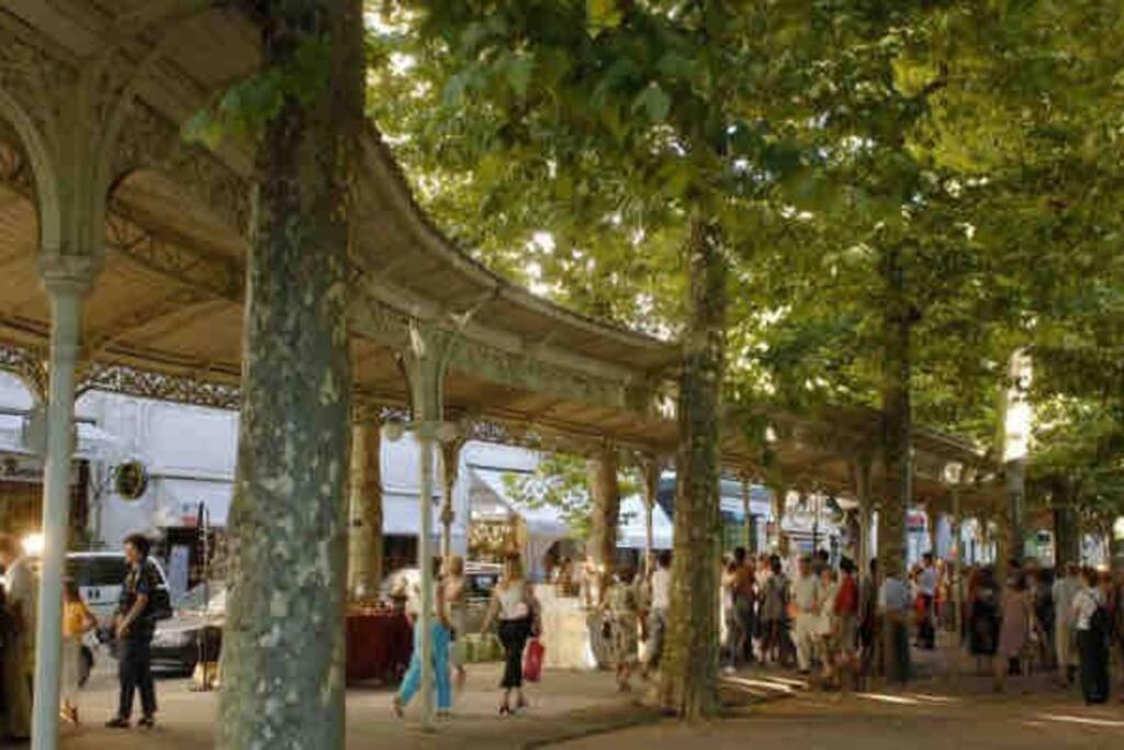 L'Opaline - Proche Gare Apartment Vichy Bagian luar foto